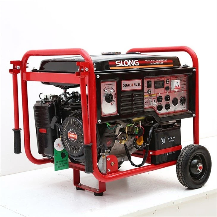 portable gasoline LPG generator